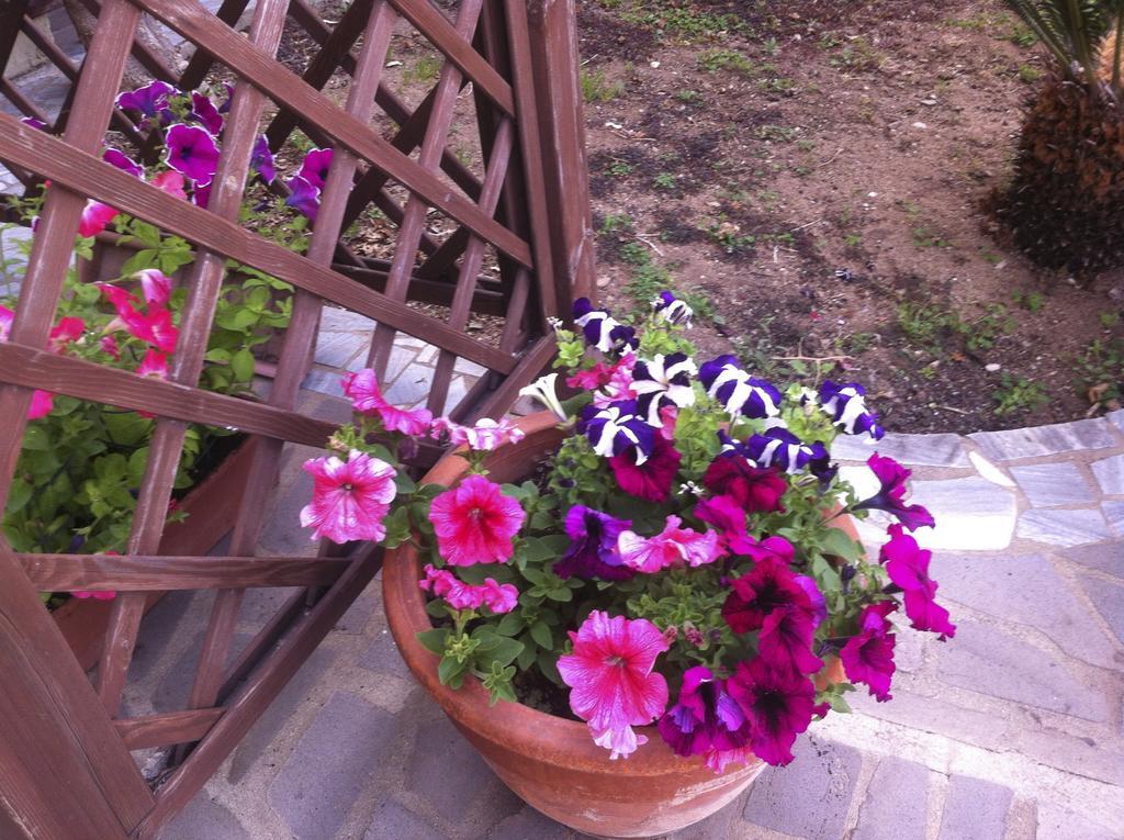 Bed and Breakfast Torre Del Pozzo С'Аркитту-Кульери Экстерьер фото