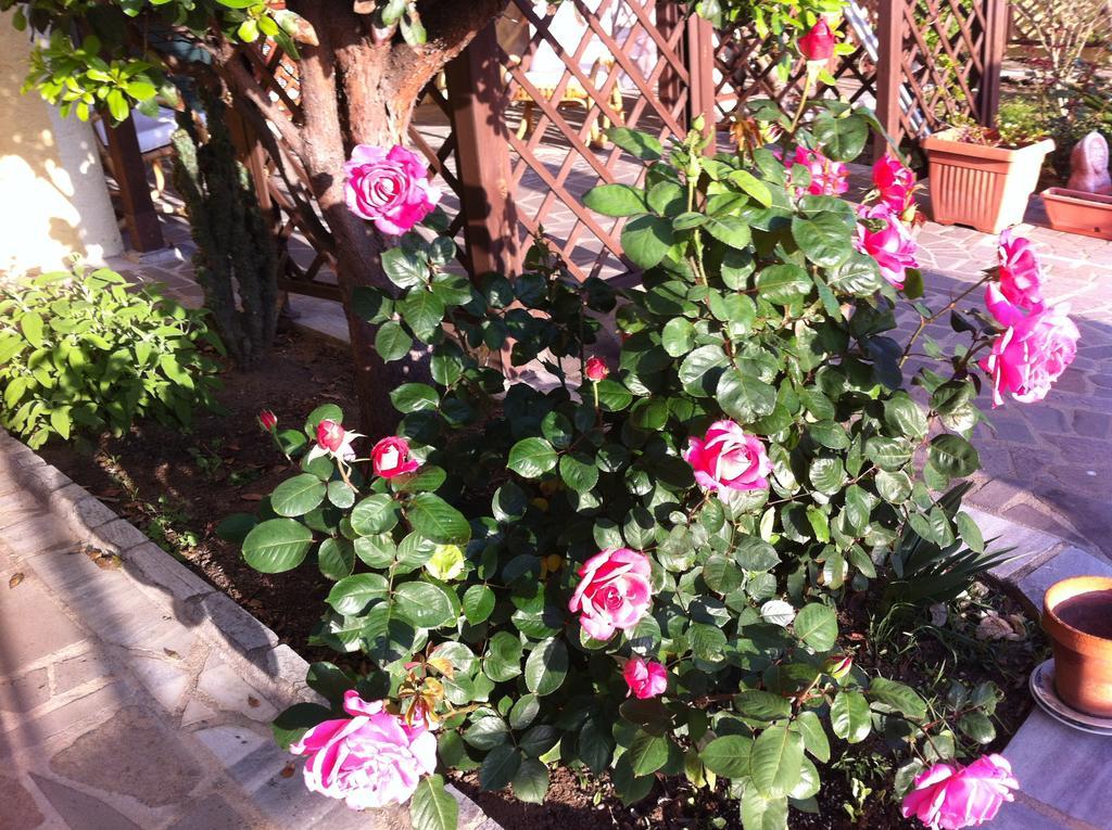 Bed and Breakfast Torre Del Pozzo С'Аркитту-Кульери Экстерьер фото