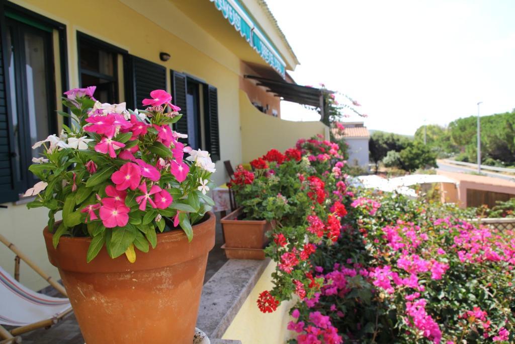 Bed and Breakfast Torre Del Pozzo С'Аркитту-Кульери Экстерьер фото